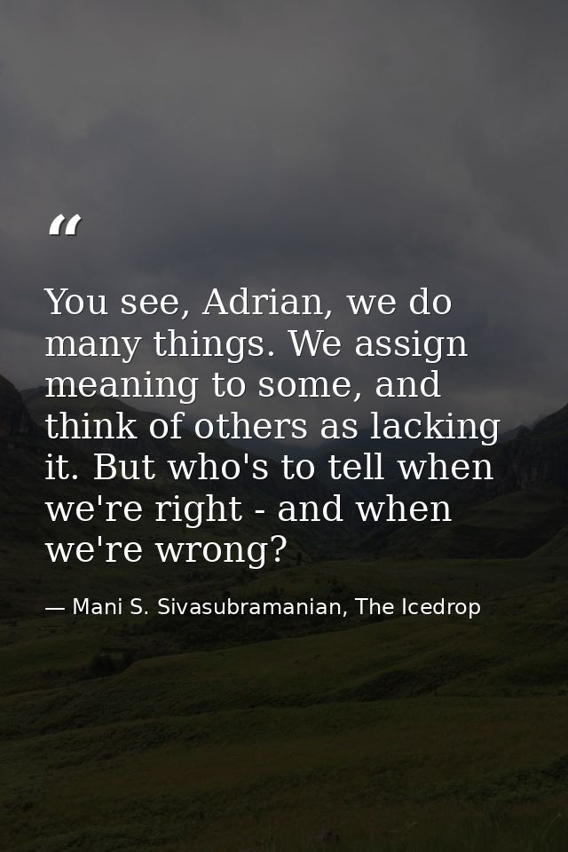 You see, Adrian, we do many things. We assign meaning to some, and think of others as lacking it. But who's to tell when — Mani S. Sivasubramanian, The Icedrop