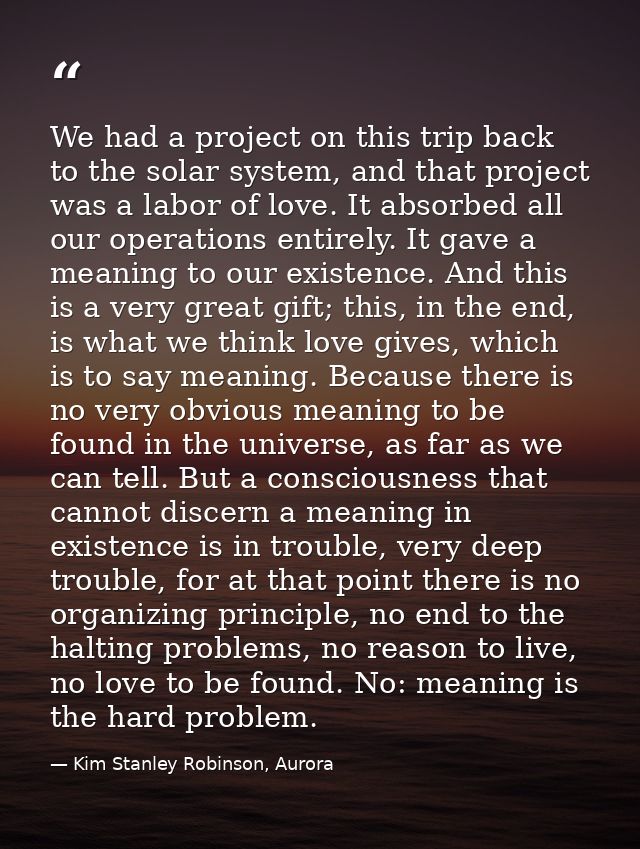 We had a project on this trip back to the solar system, and that project was a labor of love. It absorbed all our operat — Kim Stanley Robinson, Aurora