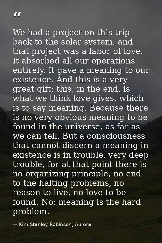 We had a project on this trip back to the solar system, and that project was a labor of love. It absorbed all our operat — Kim Stanley Robinson, Aurora