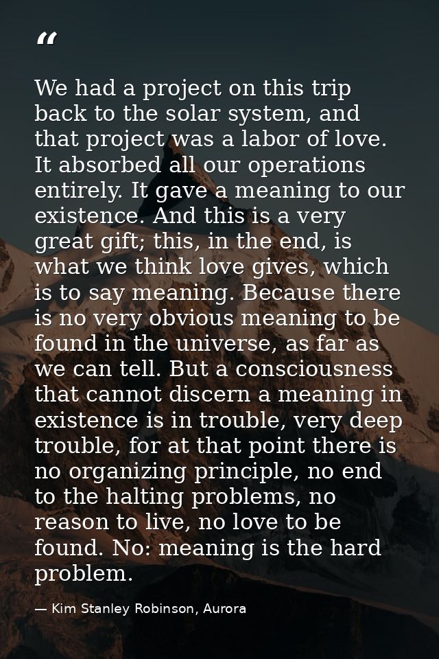 We had a project on this trip back to the solar system, and that project was a labor of love. It absorbed all our operat — Kim Stanley Robinson, Aurora
