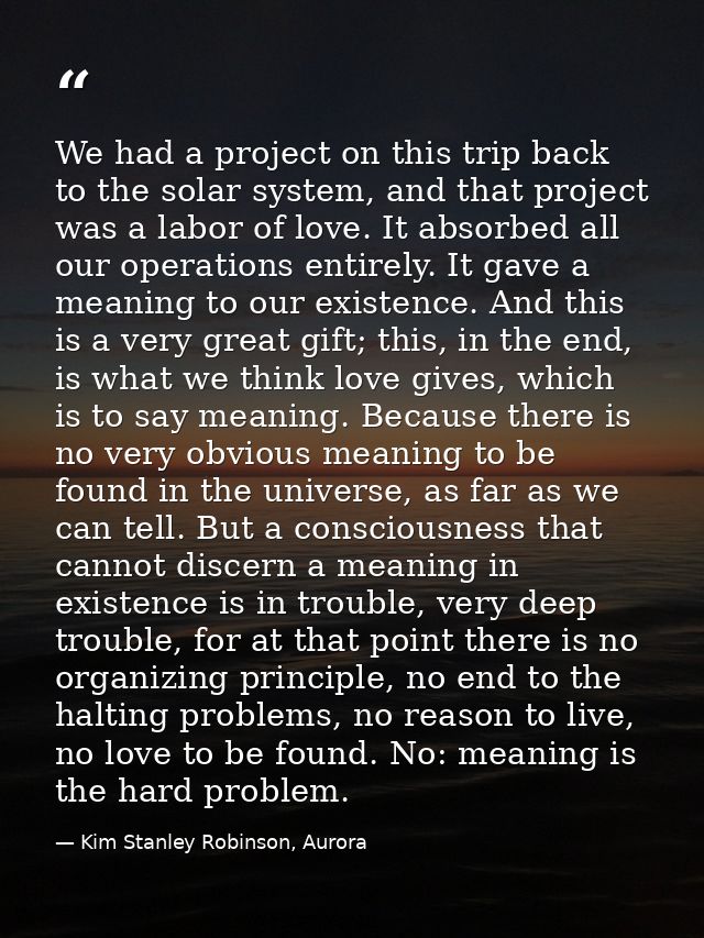 We had a project on this trip back to the solar system, and that project was a labor of love. It absorbed all our operat — Kim Stanley Robinson, Aurora