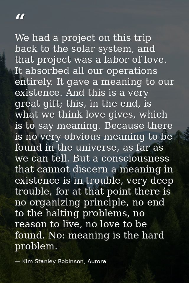 We had a project on this trip back to the solar system, and that project was a labor of love. It absorbed all our operat — Kim Stanley Robinson, Aurora