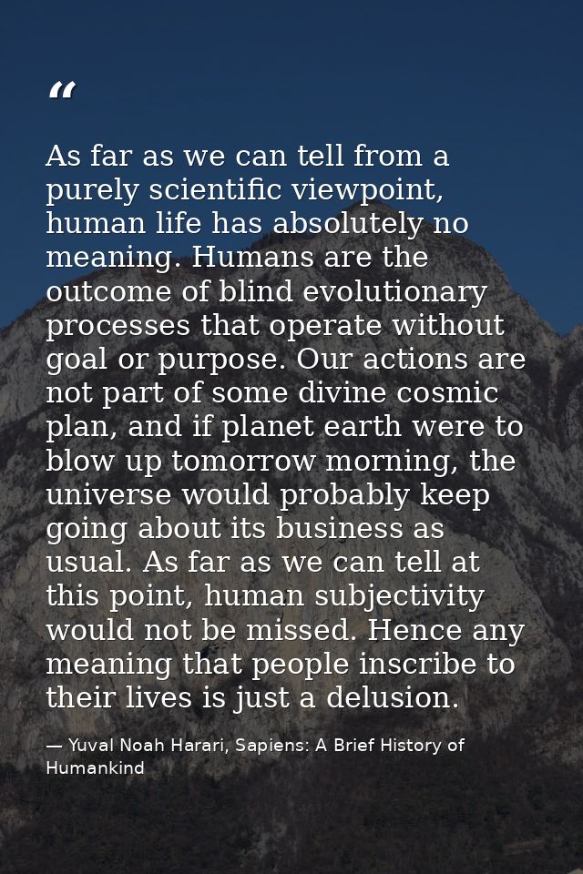 As far as we can tell from a purely scientific viewpoint, human life has absolutely no meaning. Humans are the outcome o — Yuval Noah Harari, Sapiens: A Brief History of Humankind