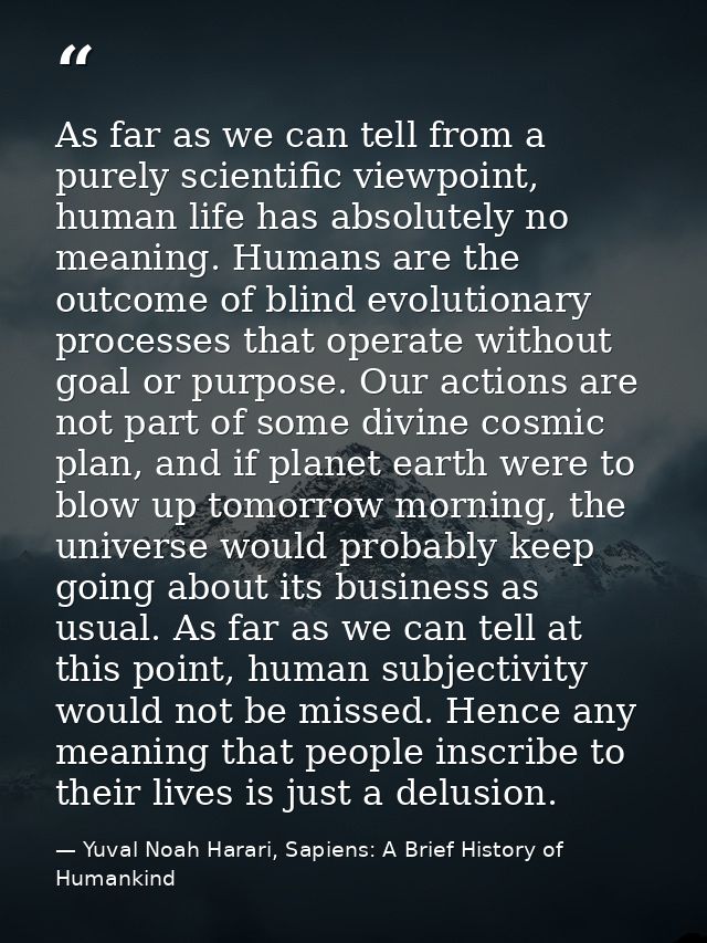 As far as we can tell from a purely scientific viewpoint, human life has absolutely no meaning. Humans are the outcome o — Yuval Noah Harari, Sapiens: A Brief History of Humankind
