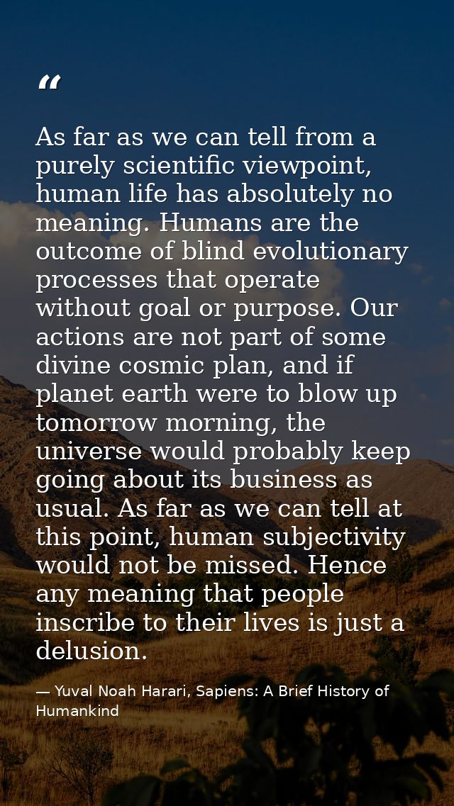 As far as we can tell from a purely scientific viewpoint, human life has absolutely no meaning. Humans are the outcome o — Yuval Noah Harari, Sapiens: A Brief History of Humankind