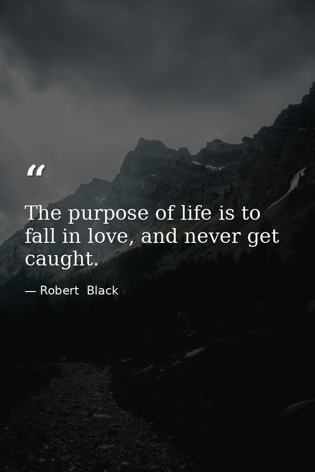 The purpose of life is to fall in love, and never get caught. — Robert  Black