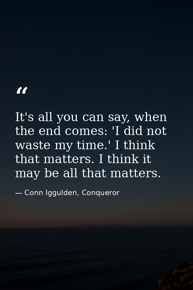 It's all you can say, when the end comes: 'I did not waste my time.' I think that matters. I think it may be all that ma — Conn Iggulden, Conqueror
