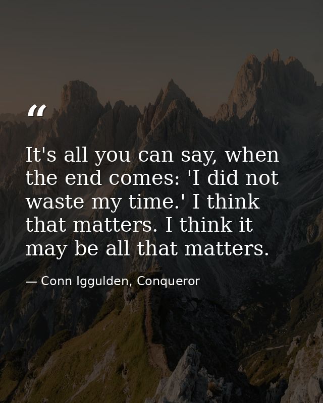 It's all you can say, when the end comes: 'I did not waste my time.' I think that matters. I think it may be all that ma — Conn Iggulden, Conqueror