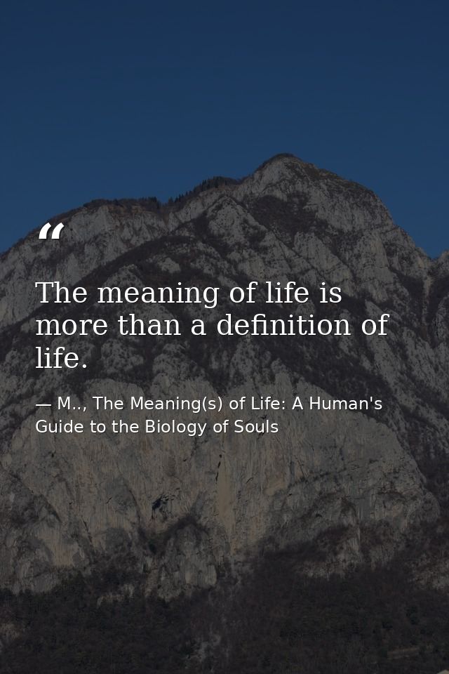 The meaning of life is more than a definition of life. — M.., The Meaning(s) of Life: A Human's Guide to the Biology of Souls