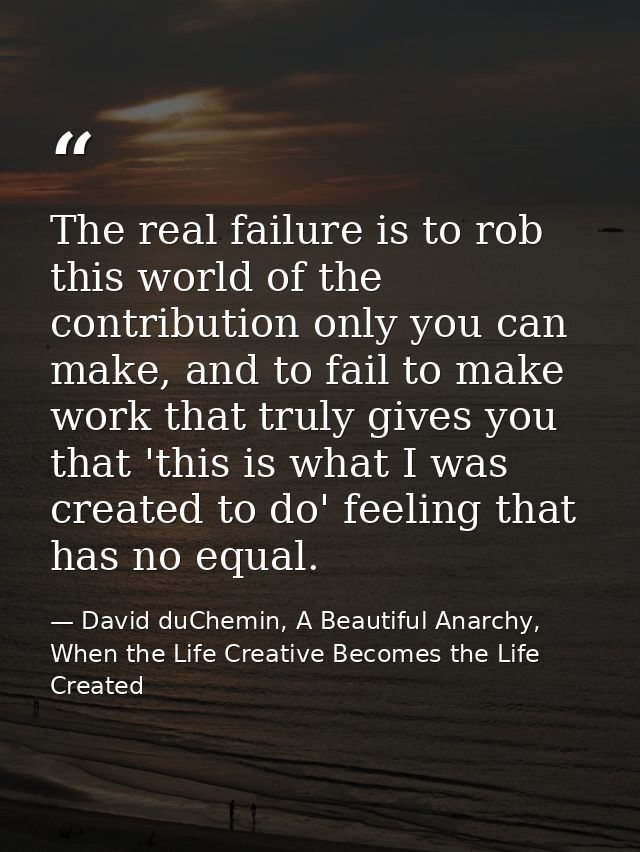 The real failure is to rob this world of the contribution only you can make, and to fail to make work that truly gives y — David duChemin, A Beautiful Anarchy, When the Life Creative Becomes the Life Created