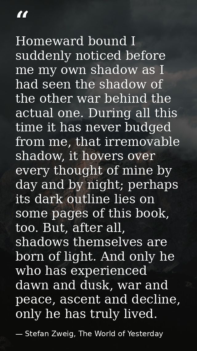 Homeward bound I suddenly noticed before me my own shadow as I had seen the shadow of the other war behind the actual on — Stefan Zweig, The World of Yesterday