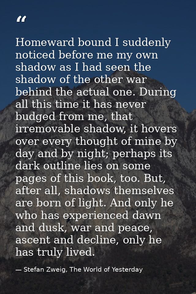 Homeward bound I suddenly noticed before me my own shadow as I had seen the shadow of the other war behind the actual on — Stefan Zweig, The World of Yesterday
