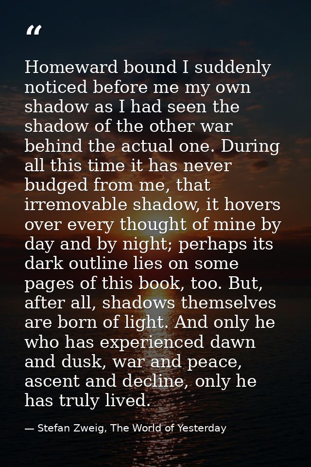 Homeward bound I suddenly noticed before me my own shadow as I had seen the shadow of the other war behind the actual on — Stefan Zweig, The World of Yesterday