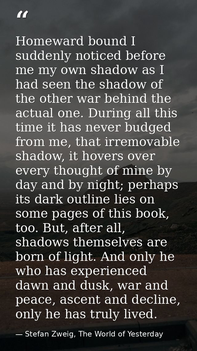 Homeward bound I suddenly noticed before me my own shadow as I had seen the shadow of the other war behind the actual on — Stefan Zweig, The World of Yesterday