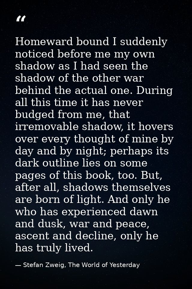 Homeward bound I suddenly noticed before me my own shadow as I had seen the shadow of the other war behind the actual on — Stefan Zweig, The World of Yesterday
