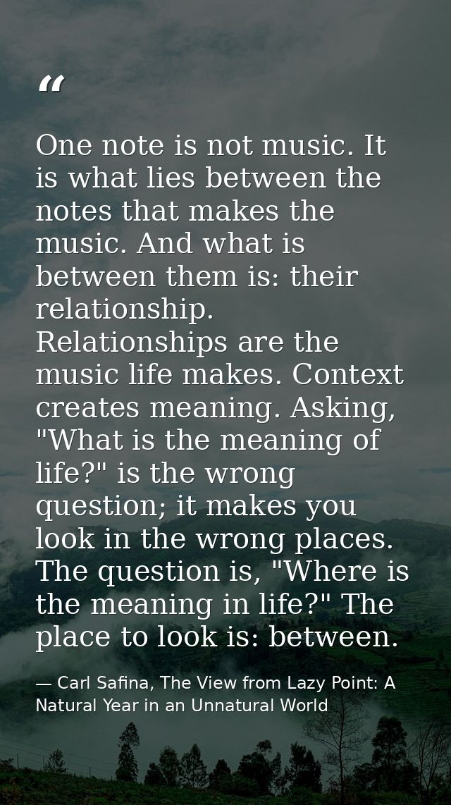 One note is not music. It is what lies between the notes that makes the music. And what is between them is: their relati — Carl Safina, The View from Lazy Point: A Natural Year in an Unnatural World