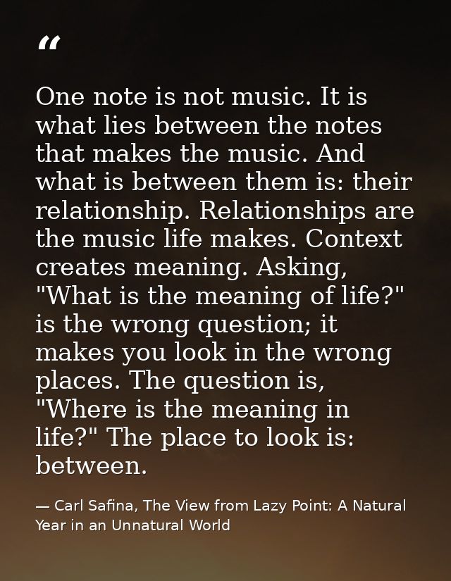 One note is not music. It is what lies between the notes that makes the music. And what is between them is: their relati — Carl Safina, The View from Lazy Point: A Natural Year in an Unnatural World