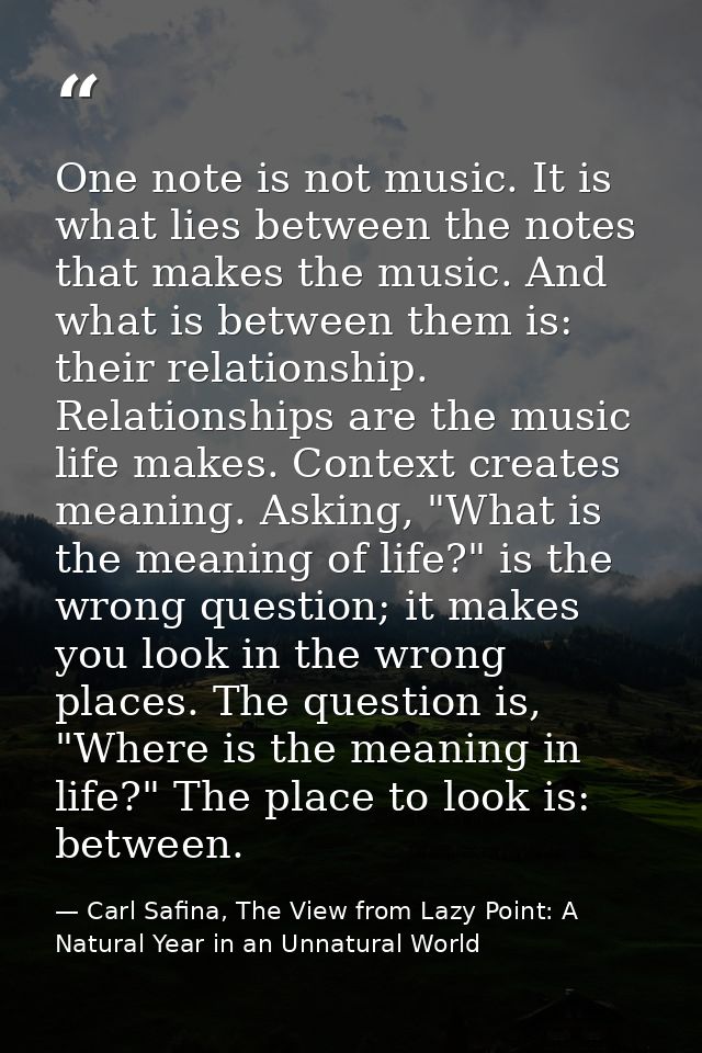 One note is not music. It is what lies between the notes that makes the music. And what is between them is: their relati — Carl Safina, The View from Lazy Point: A Natural Year in an Unnatural World