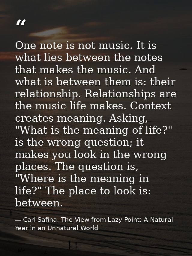 One note is not music. It is what lies between the notes that makes the music. And what is between them is: their relati — Carl Safina, The View from Lazy Point: A Natural Year in an Unnatural World