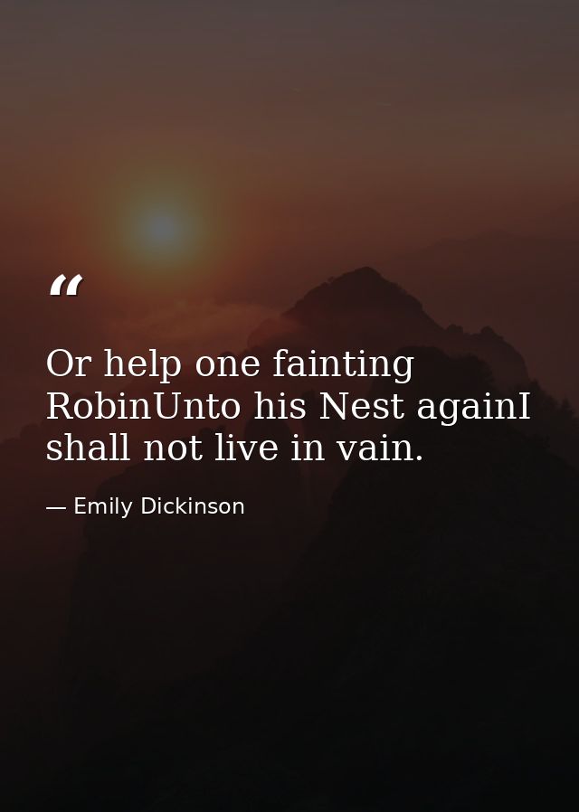 Or help one fainting RobinUnto his Nest againI shall not live in vain. — Emily Dickinson