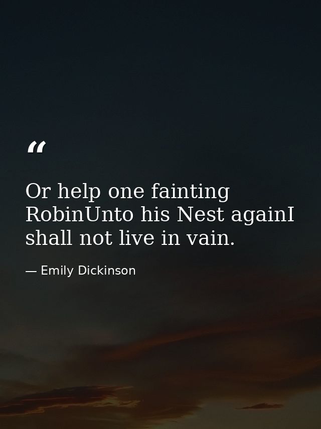 Or help one fainting RobinUnto his Nest againI shall not live in vain. — Emily Dickinson