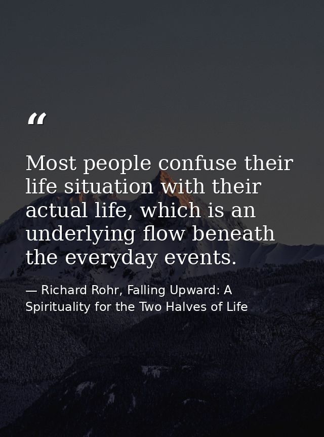 Most people confuse their life situation with their actual life, which is an underlying flow beneath the everyday events — Richard Rohr, Falling Upward: A Spirituality for the Two Halves of Life