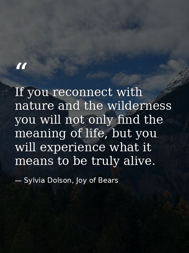 If you reconnect with nature and the wilderness you will not only find the meaning of life, but you will experience what — Sylvia Dolson, Joy of Bears