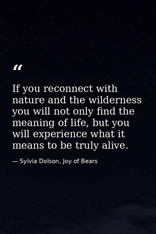 If you reconnect with nature and the wilderness you will not only find the meaning of life, but you will experience what — Sylvia Dolson, Joy of Bears