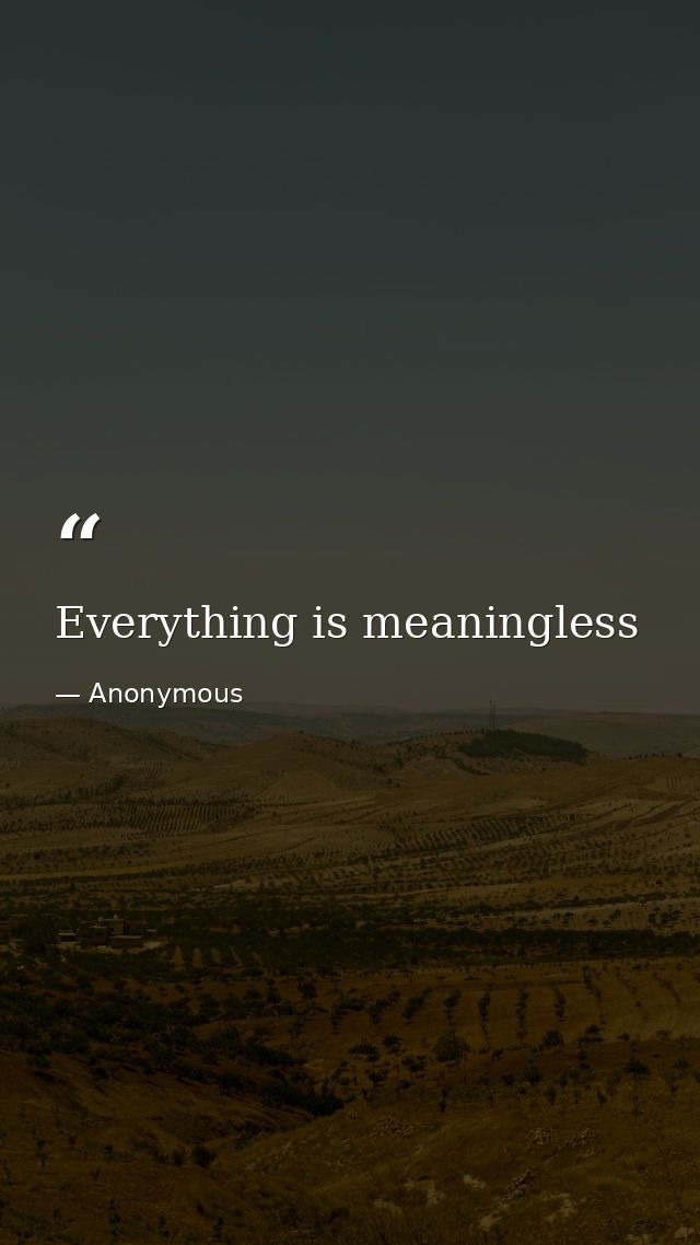 Everything is meaningless — Anonymous