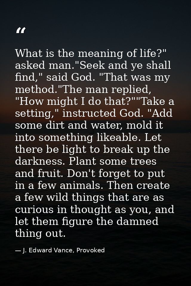 What is the meaning of life?" asked man."Seek and ye shall find," said God. "That was my method."The man replied, "How m — J. Edward Vance, Provoked