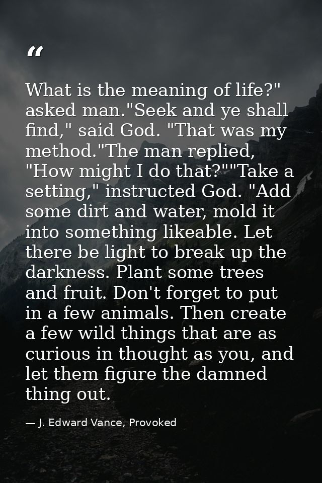 What is the meaning of life?" asked man."Seek and ye shall find," said God. "That was my method."The man replied, "How m — J. Edward Vance, Provoked