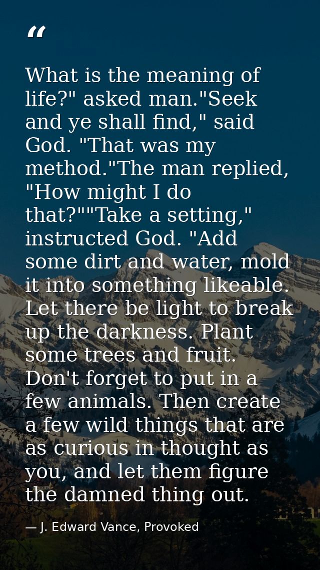 What is the meaning of life?" asked man."Seek and ye shall find," said God. "That was my method."The man replied, "How m — J. Edward Vance, Provoked