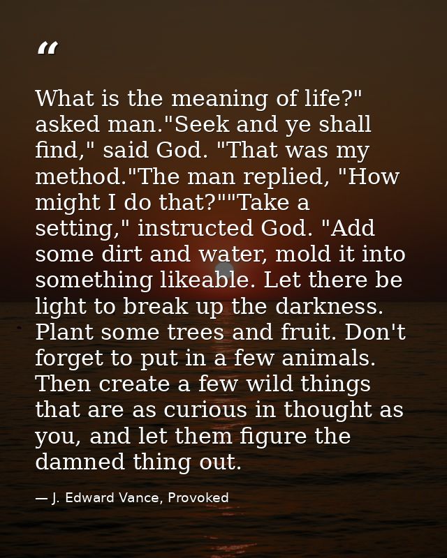 What is the meaning of life?" asked man."Seek and ye shall find," said God. "That was my method."The man replied, "How m — J. Edward Vance, Provoked
