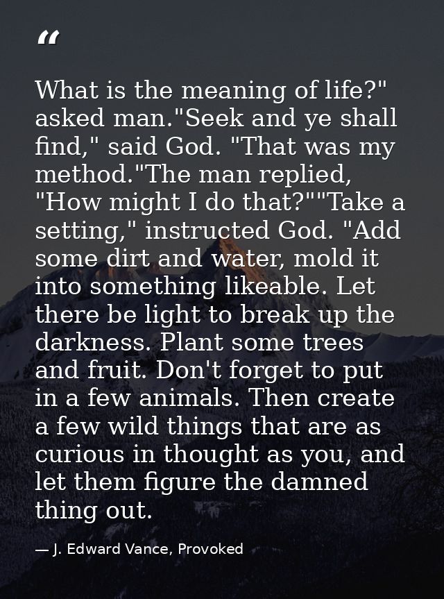 What is the meaning of life?" asked man."Seek and ye shall find," said God. "That was my method."The man replied, "How m — J. Edward Vance, Provoked