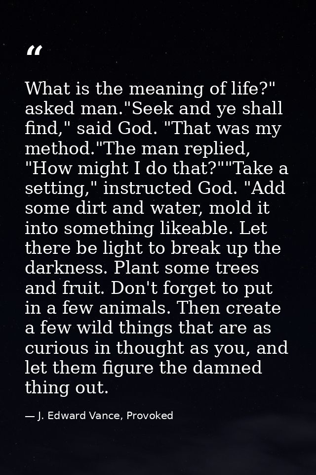 What is the meaning of life?" asked man."Seek and ye shall find," said God. "That was my method."The man replied, "How m — J. Edward Vance, Provoked