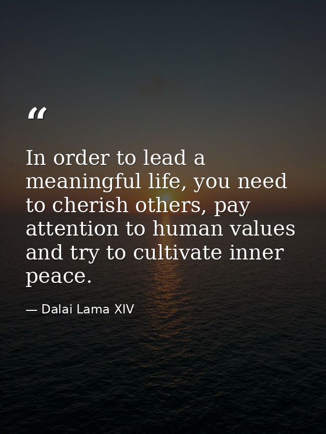 In order to lead a meaningful life, you need to cherish others, pay attention to human values and try to cultivate inner — Dalai Lama XIV