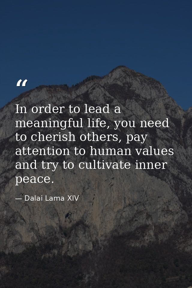 In order to lead a meaningful life, you need to cherish others, pay attention to human values and try to cultivate inner — Dalai Lama XIV