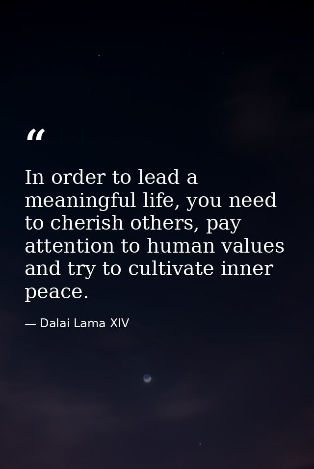 In order to lead a meaningful life, you need to cherish others, pay attention to human values and try to cultivate inner — Dalai Lama XIV
