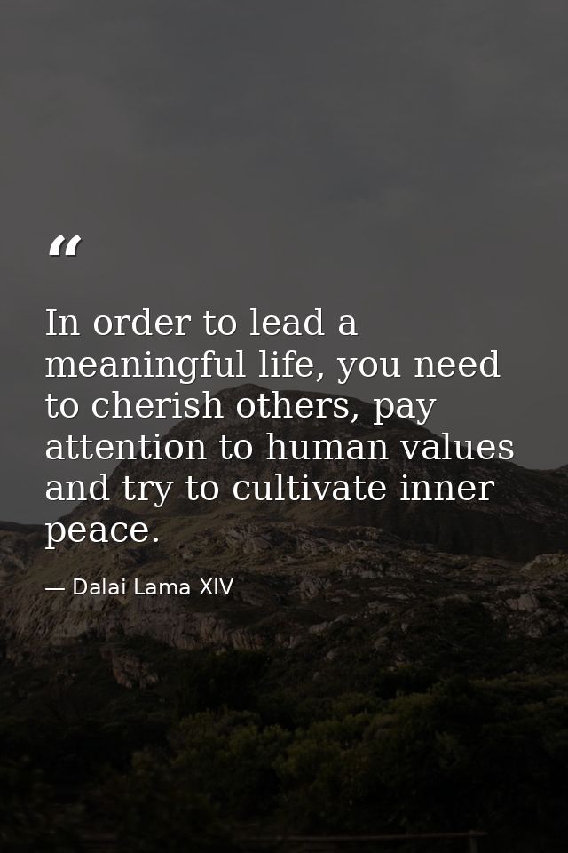 In order to lead a meaningful life, you need to cherish others, pay attention to human values and try to cultivate inner — Dalai Lama XIV