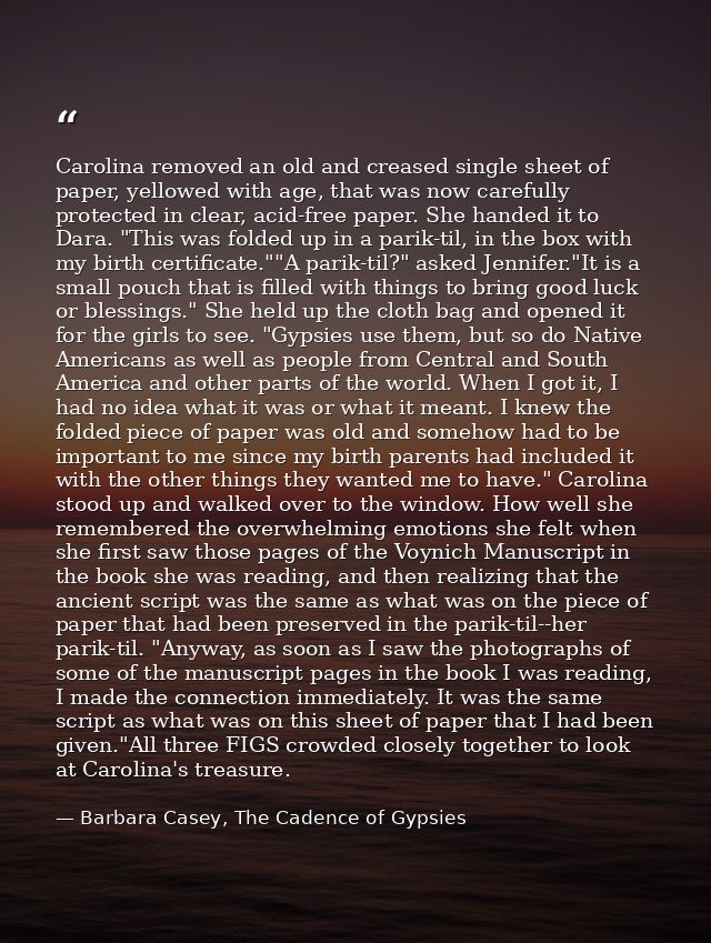Carolina removed an old and creased single sheet of paper, yellowed with age, that was now carefully protected in clear, — Barbara Casey, The Cadence of Gypsies