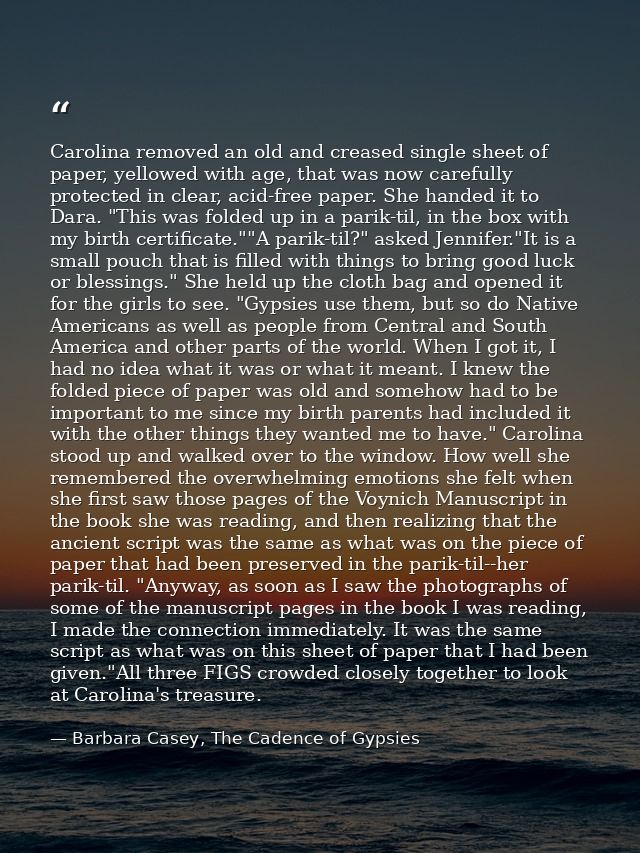 Carolina removed an old and creased single sheet of paper, yellowed with age, that was now carefully protected in clear, — Barbara Casey, The Cadence of Gypsies