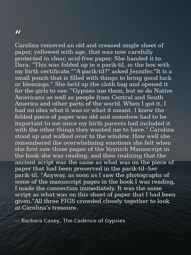 Carolina removed an old and creased single sheet of paper, yellowed with age, that was now carefully protected in clear, — Barbara Casey, The Cadence of Gypsies