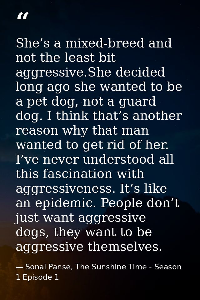 She’s a mixed-breed and not the least bit aggressive.She decided long ago she wanted to be a pet dog, not a guard dog. I — Sonal Panse, The Sunshine Time - Season 1 Episode 1