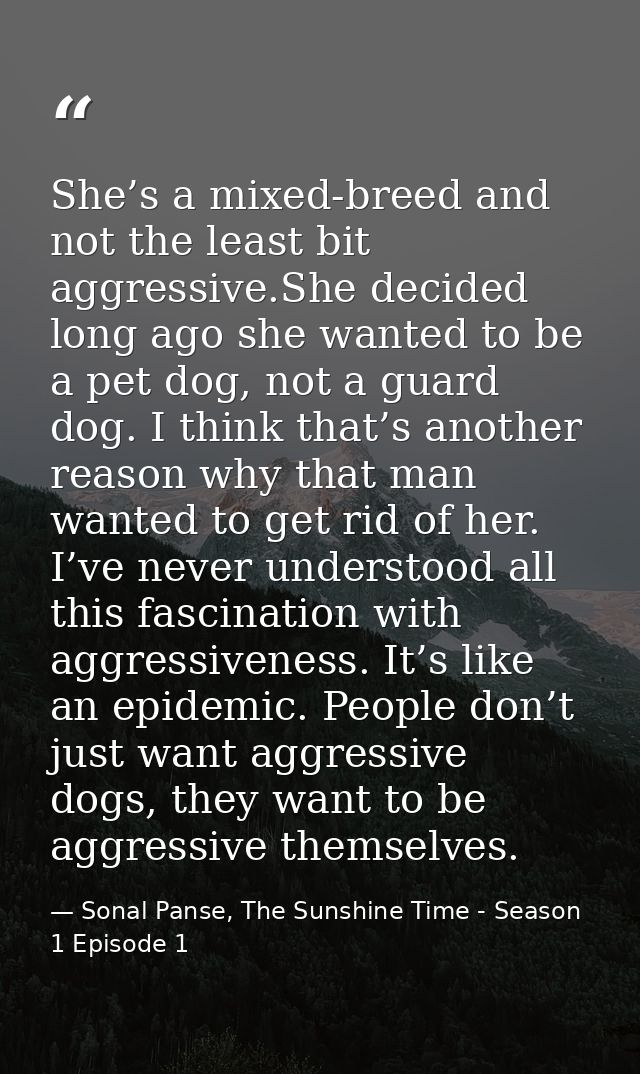 She’s a mixed-breed and not the least bit aggressive.She decided long ago she wanted to be a pet dog, not a guard dog. I — Sonal Panse, The Sunshine Time - Season 1 Episode 1