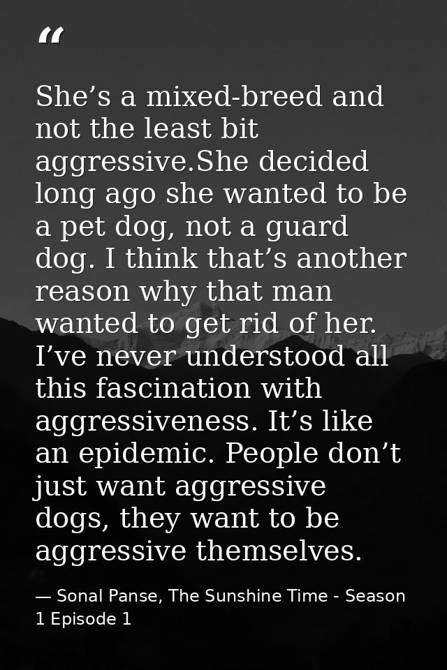She’s a mixed-breed and not the least bit aggressive.She decided long ago she wanted to be a pet dog, not a guard dog. I — Sonal Panse, The Sunshine Time - Season 1 Episode 1