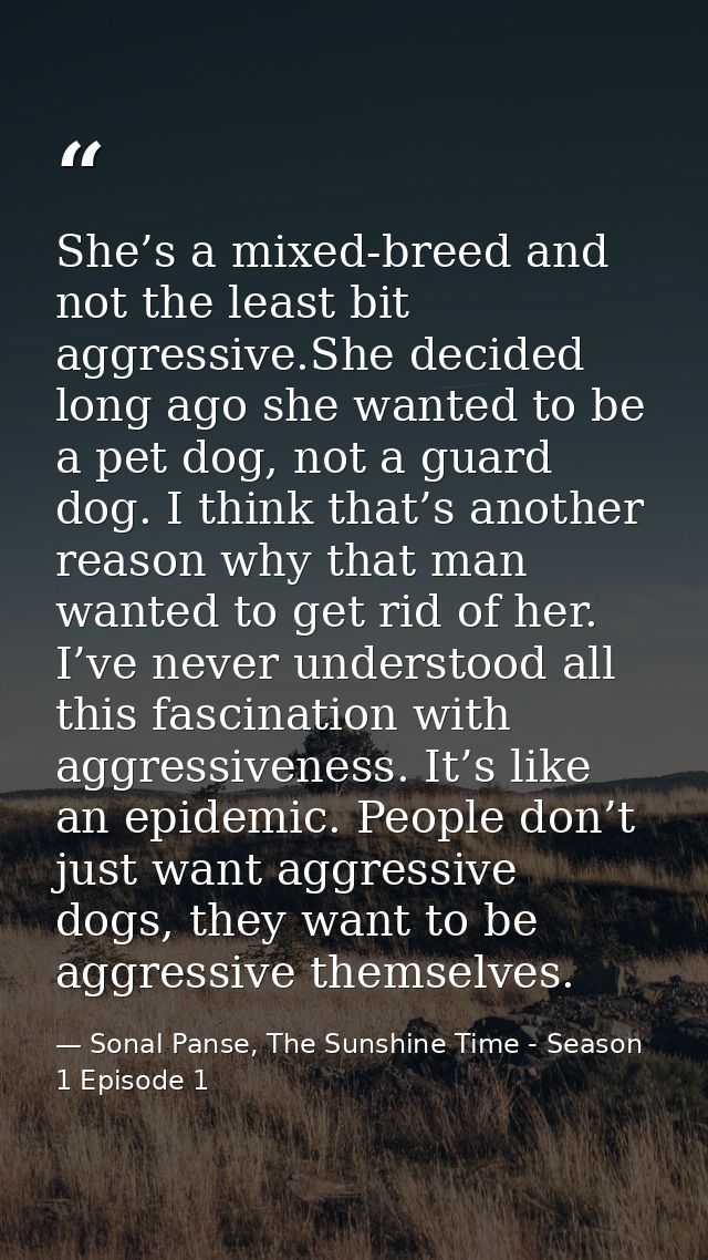 She’s a mixed-breed and not the least bit aggressive.She decided long ago she wanted to be a pet dog, not a guard dog. I — Sonal Panse, The Sunshine Time - Season 1 Episode 1