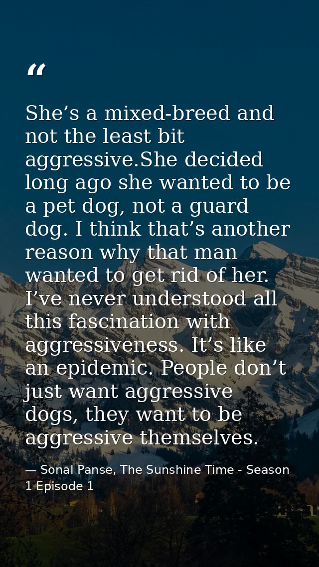 She’s a mixed-breed and not the least bit aggressive.She decided long ago she wanted to be a pet dog, not a guard dog. I — Sonal Panse, The Sunshine Time - Season 1 Episode 1
