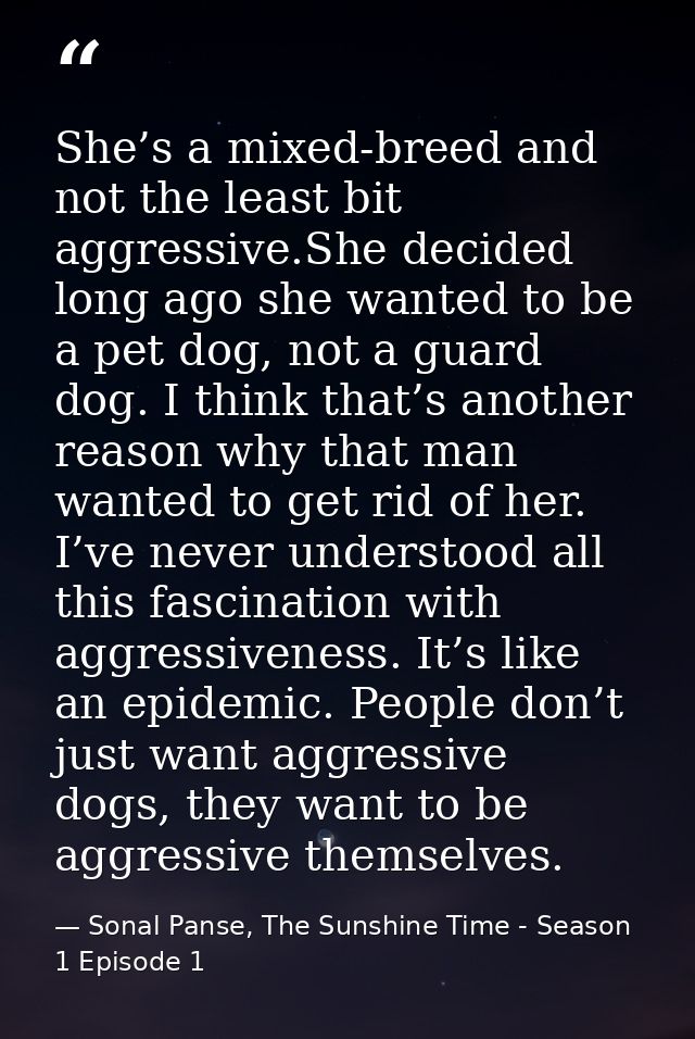 She’s a mixed-breed and not the least bit aggressive.She decided long ago she wanted to be a pet dog, not a guard dog. I — Sonal Panse, The Sunshine Time - Season 1 Episode 1