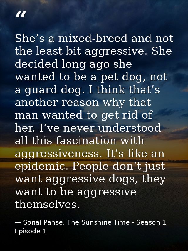 She’s a mixed-breed and not the least bit aggressive. She decided long ago she wanted to be a pet dog, not a guard dog.  — Sonal Panse, The Sunshine Time - Season 1 Episode 1