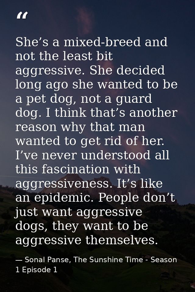 She’s a mixed-breed and not the least bit aggressive. She decided long ago she wanted to be a pet dog, not a guard dog.  — Sonal Panse, The Sunshine Time - Season 1 Episode 1